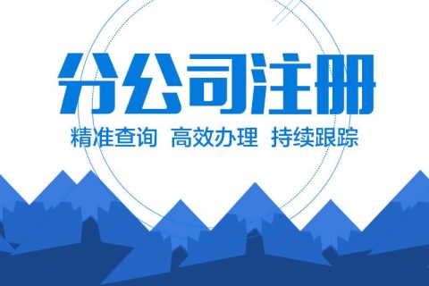 在拉薩設(shè)立分公司的流程、所需材料、辦理時間