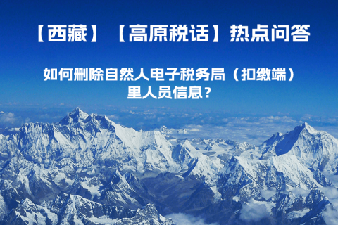 如何刪除西藏自然人電子稅務局（扣繳端）里人員信息？