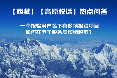 一個報驗用戶名下有多項報驗項目，如何在電子稅務(wù)局預(yù)繳稅款？