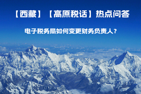 電子稅務(wù)局如何變更財務(wù)負(fù)責(zé)人？