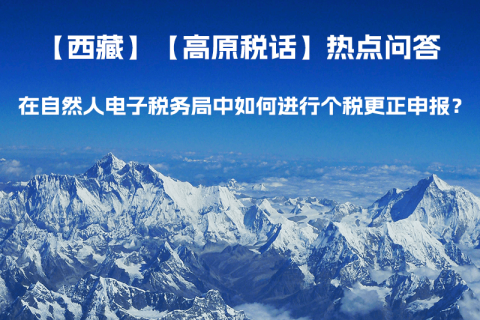 在自然人電子稅務(wù)局中如何進行個稅更正申報？