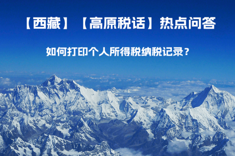 如何打印個(gè)人所得稅納稅記錄？