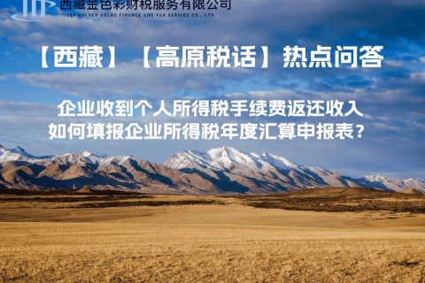 企業(yè)收到個(gè)人所得稅手續(xù)費(fèi)返還收入，如何填報(bào)企業(yè)所得稅年度匯算申報(bào)表？