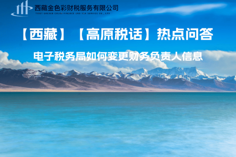 西藏電子稅務(wù)局如何變更財(cái)務(wù)負(fù)責(zé)人信息？